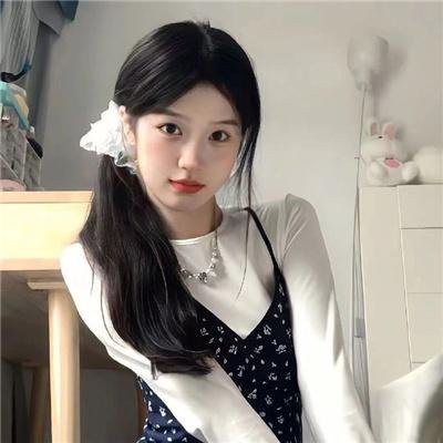 侠盗正传