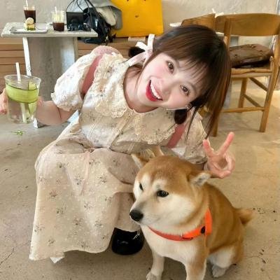向往的生活老友记